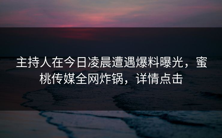 主持人在今日凌晨遭遇爆料曝光，蜜桃传媒全网炸锅，详情点击