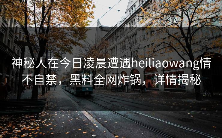 神秘人在今日凌晨遭遇heiliaowang情不自禁，黑料全网炸锅，详情揭秘